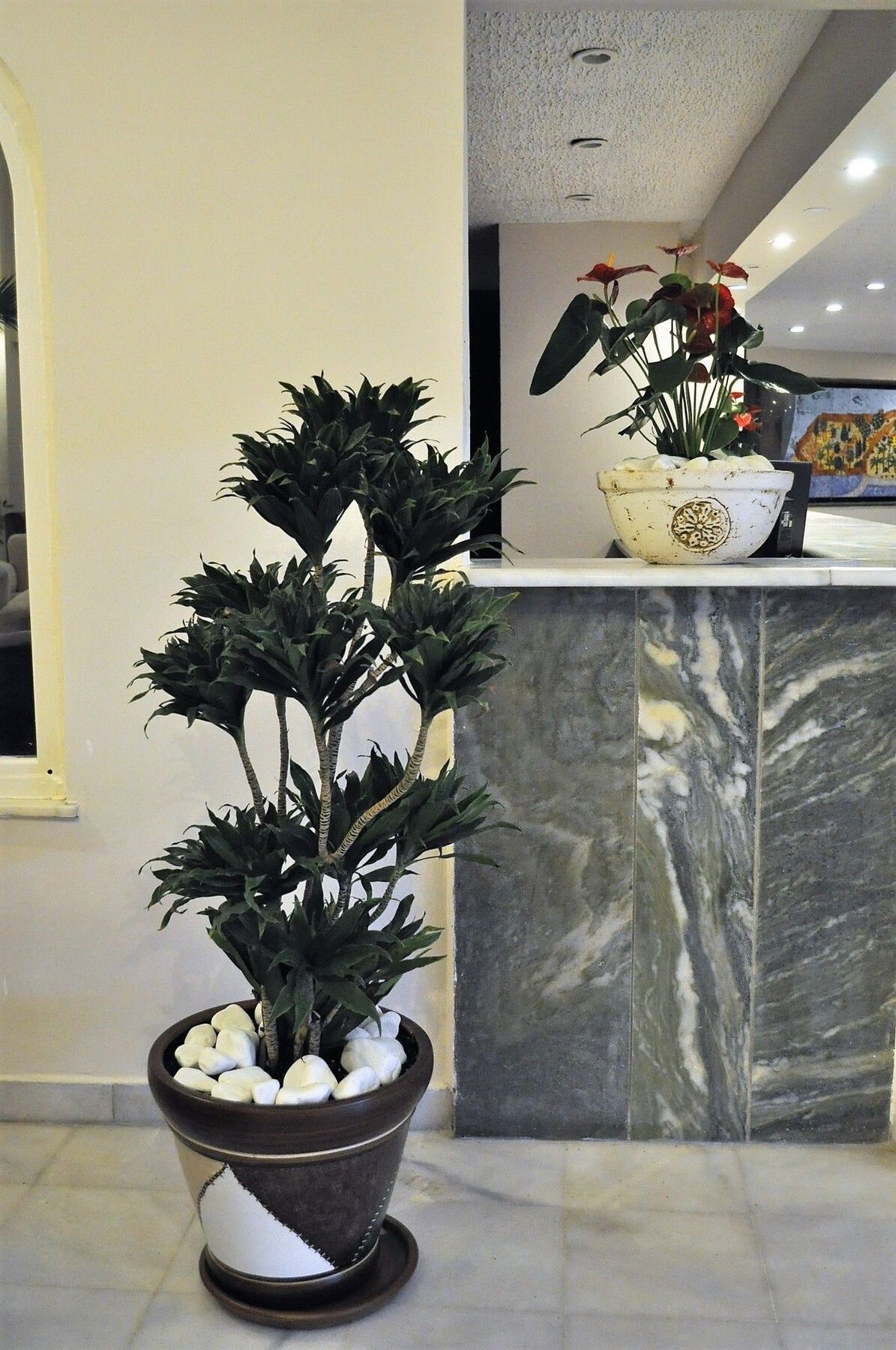 Syedra Princess Hotel Mahmutlar Exterior photo